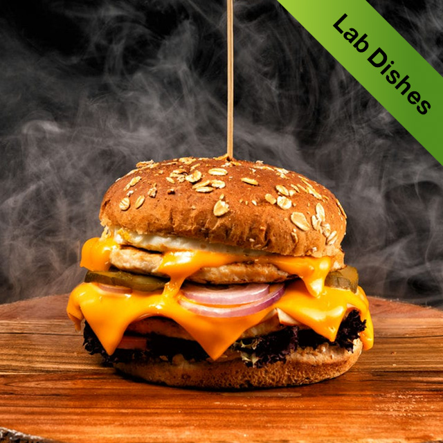 Lab Burger Chicken